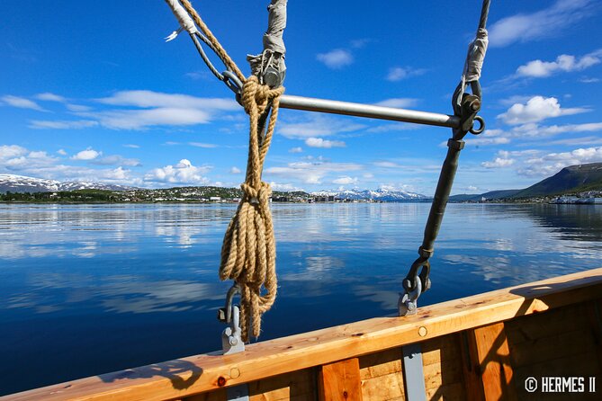 1 Hour Photo & History Cruise - Cruising Past Polaria, Then Sliding Under Tromsø Bridge
