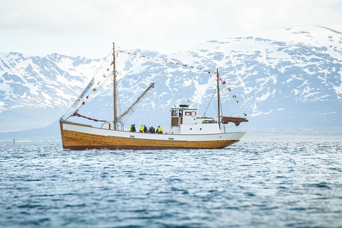 1 Hour Photo & History Cruise - The Boat Story and the Guide, Why It Feels Personal