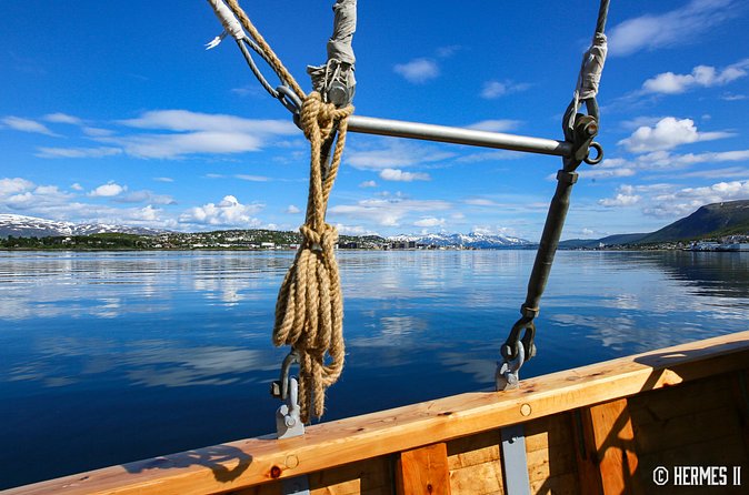 1 Hour Photo & History Cruise - Weather Reality Check: What to Wear on Tromsø Water