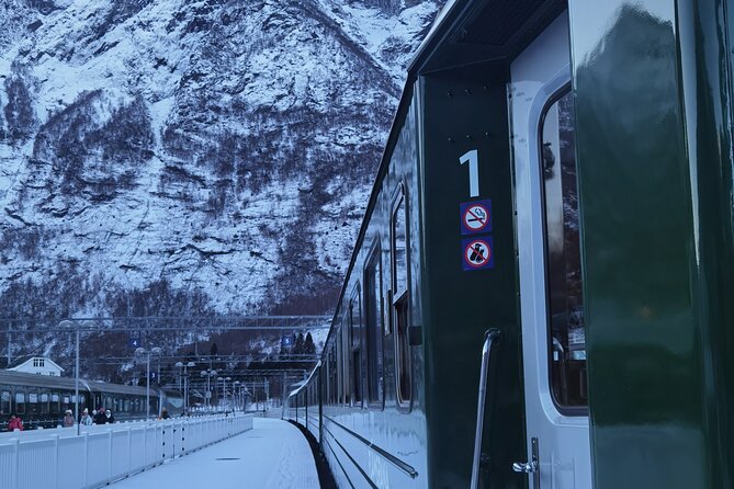 1Day Tour from Bergen to Flåm, Nærøyfjord Cruise & Stegastein - Key Highlights You Should Know Before You Go