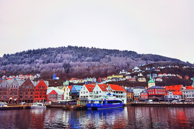 1Day Tour from Bergen to Flåm, Nærøyfjord Cruise & Stegastein - Aurlandsfjellet (Snow Road): Flex Time for Mountain Road Views