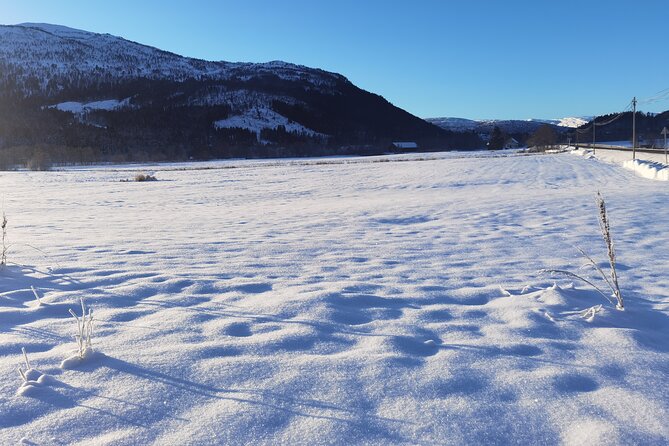 1Day Tour from Bergen to Flåm, Nærøyfjord Cruise & Stegastein - Voss and Tvindefossen: The Mountain Warm-Up