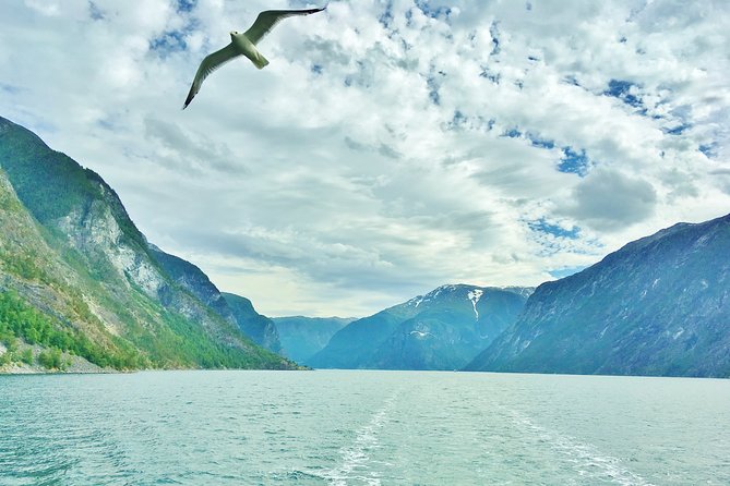 2-Day Round Trip from Bergen: THE GRAND SOGNEFJORD – fjords, waterfalls, glacier - Practical tips so this feels enjoyable, not exhausting