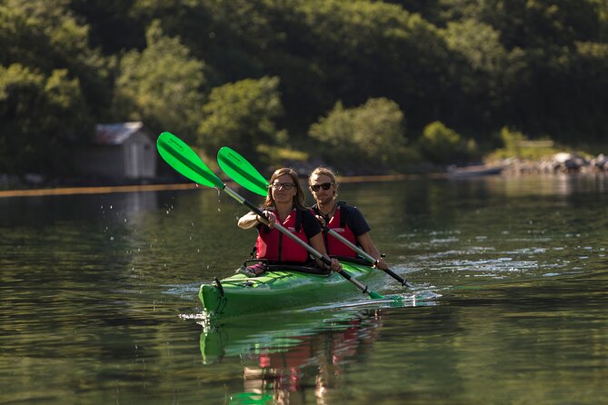2-Hour Guided Kayak Experience in Geiranger - Geirangerfjord from your own paddle