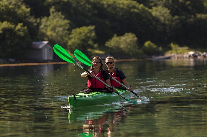 2-Hour Guided Kayak Experience in Geiranger - Paddling Geirangerfjorden: the view is close and the details are real