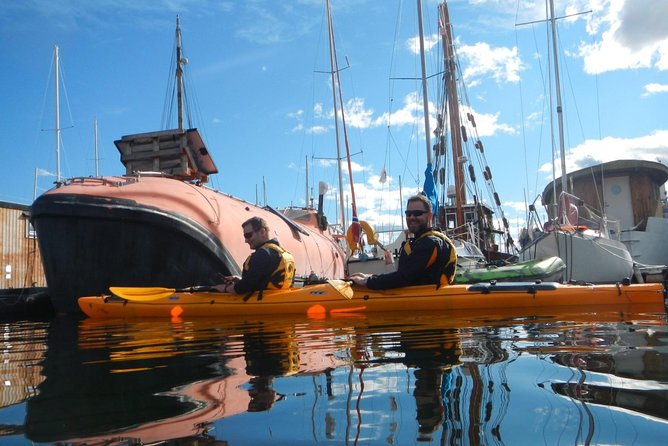 2- hour kayak trip on the Oslo Fjord - Wildlife, Meditative Weather, and Guide-Friendly Conversations