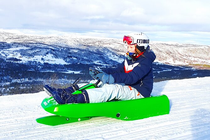 2-Hour Racing Toboggan at Dagali Fjellpark near Geilo in Norway - Key highlights worth your attention