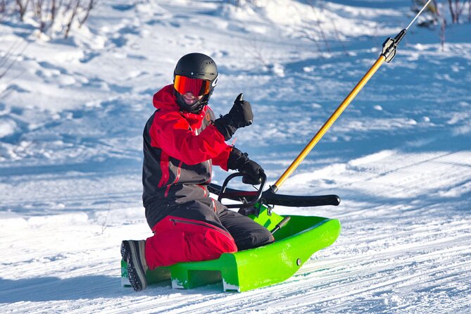 2-Hour Racing Toboggan at Dagali Fjellpark near Geilo in Norway - Dagali Fjellpark sledding: simple, fast fun near Geilo