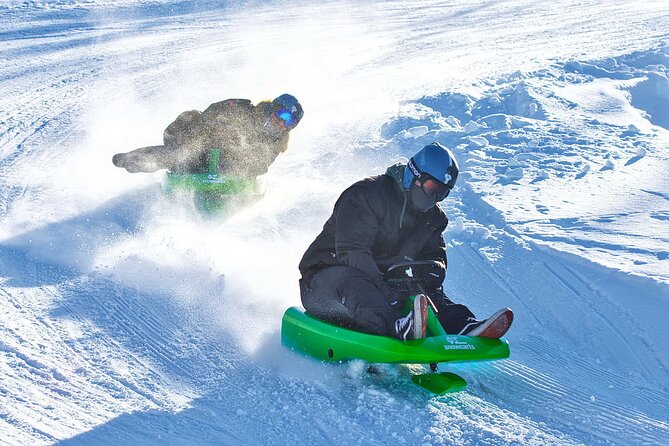 2-Hour Racing Toboggan at Dagali Fjellpark near Geilo in Norway - How the sled works: steering wheel, effective brakes, and one rider per sled