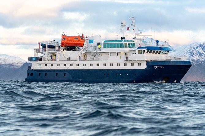 24hr Northern Lights & Whale Watching Cruise - Tromsø to Skjervøya in 24 hours: the appeal and the trade-offs