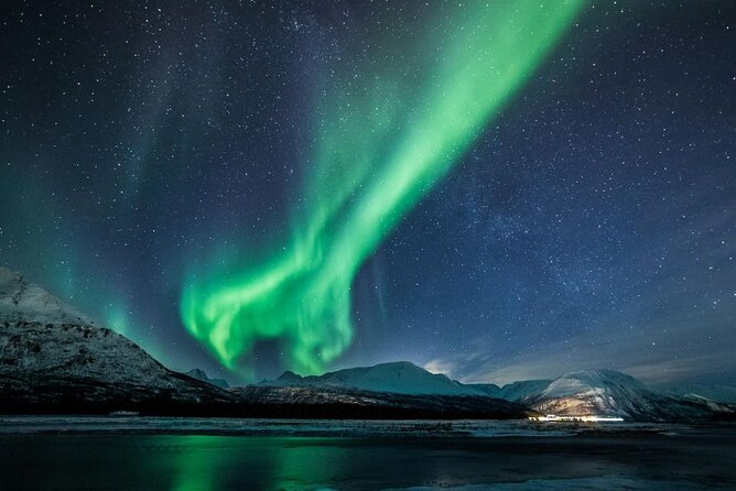 24hr Northern Lights & Whale Watching Cruise - Timing that works: 8 PM departure, 7 PM return, and a full second day