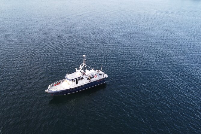 3.5-Hour Arctic Magic with Fjord and Whale Watching Adventure - Price and Value: Is $296.36 Worth It?