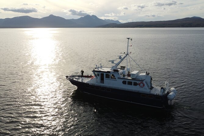 3.5-Hour Arctic Magic with Fjord and Whale Watching Adventure - Meeting Point at Markedsgata 6: Easy Start, Clear Flow