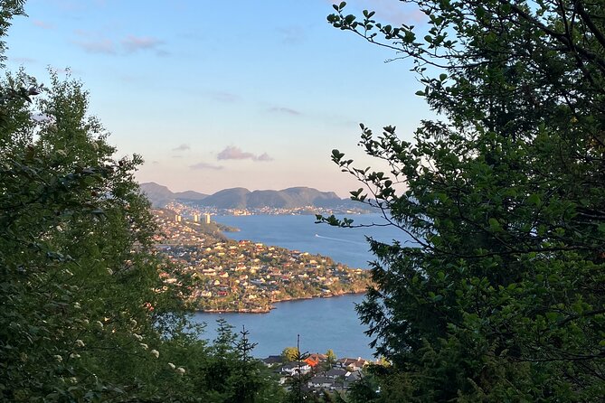 3-Hour Private Norwegian Hiking Experience with Local Guide - Guide quality: English conversation and real local perspective