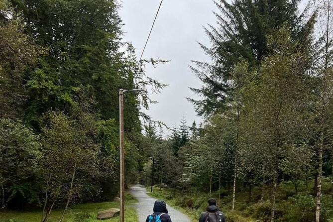 3-Hour Private Tour Hiked through the Bergen Mountains - Guides can make or break a mountain day