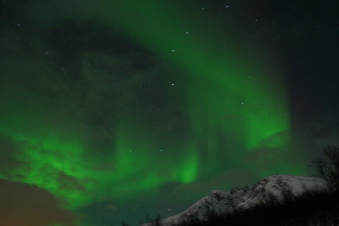4 Hour Aurora Tour Photos Snacks and Warm Drinks Included - The value play: $102.48 for warmth, snacks, and real photos