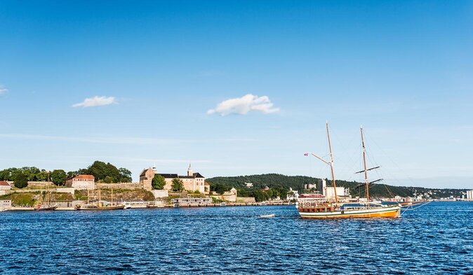 4 hours Best View of the Oslofjord Winter Edition - Key highlights you will feel right away