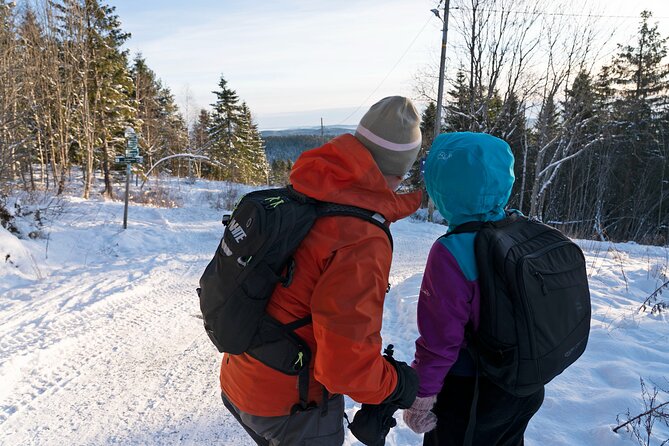 4 hours Best View of the Oslofjord Winter Edition - What to wear for snow, cold hands, and better footing