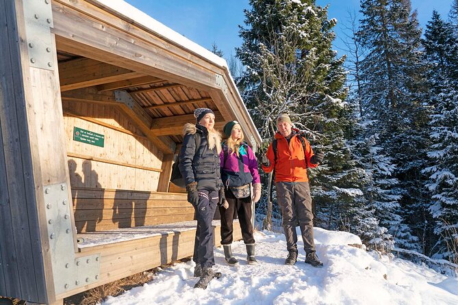 4 hours Best View of the Oslofjord Winter Edition - Stop 2: Fuglemyra winter forest walk and the cabin stop at Fuglemyrhytta