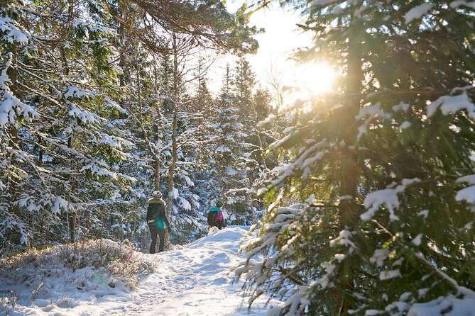 4 hours Best View of the Oslofjord Winter Edition - Stop 3: Vettakollen summit viewpoint break with hygge in the cold
