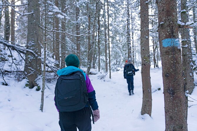 4 hours Best View of the Oslofjord Winter Edition - Pace, group size, and the reason the hike is fun for beginners