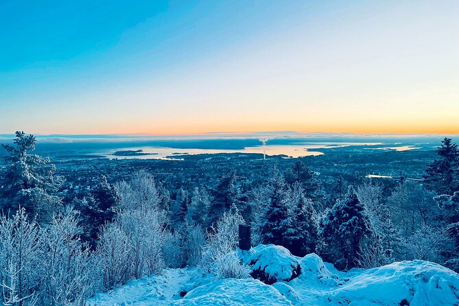 4 hours Best View of the Oslofjord Winter Edition - Getting there and back: meeting point timing and what to expect