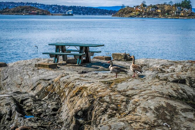 4 Hours Island Hopping Tour in Oslo - Lindøya Island: Wooden Houses, 1920 Cabins, and Time to Eat and Swim