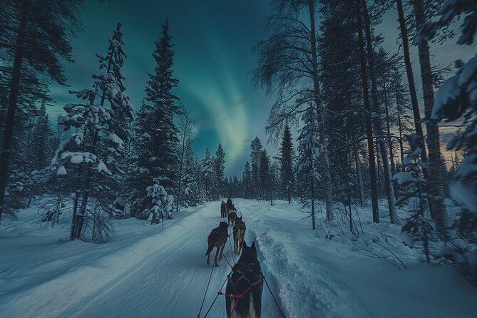 4hr Dog Sledding Tour under the Northern Lights - First stop: Markedsgata pickup and the trip to Gargia