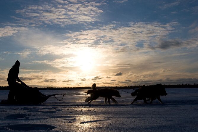 4hr Dog Sledding Tour under the Northern Lights - Northern Lights reality check: what boosts your odds