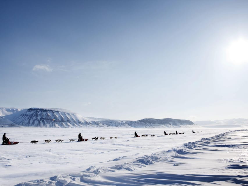 4hr Dog Sledding Trip on Finnmarksvidda - Practical tips for a comfy Arctic winter day
