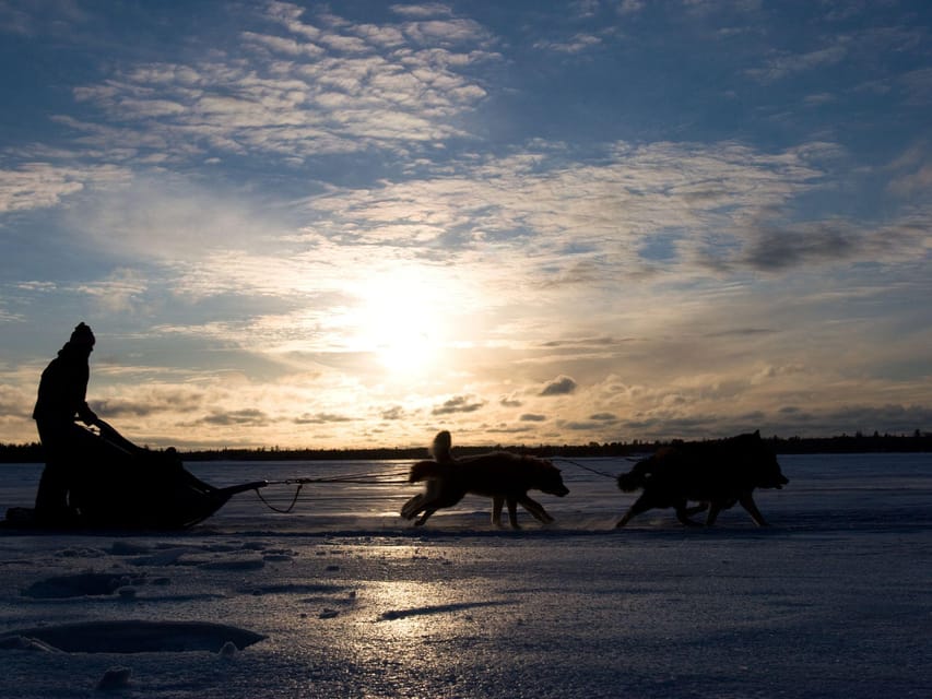 4hr Dog Sledding Trip on Finnmarksvidda - The trail route: pine forest glide then Finnmarksvidda plateau