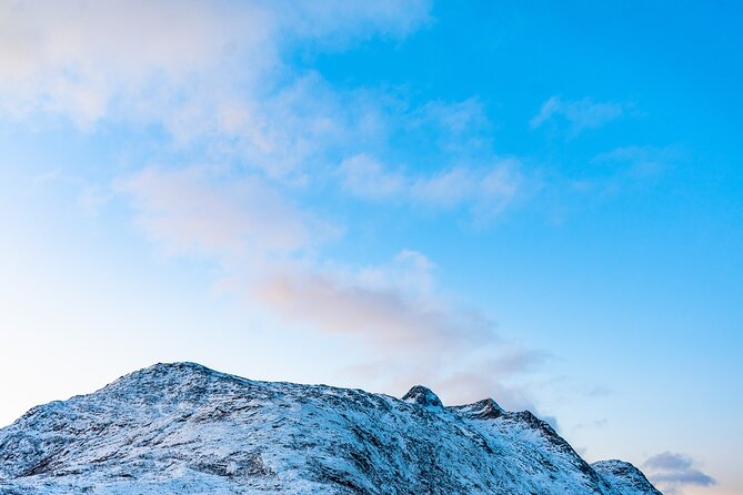 5 Fjords Tour by Minivan in 4 Hours - Kattfjorden: tea, coffee, and muffins, plus why it changes the whole day