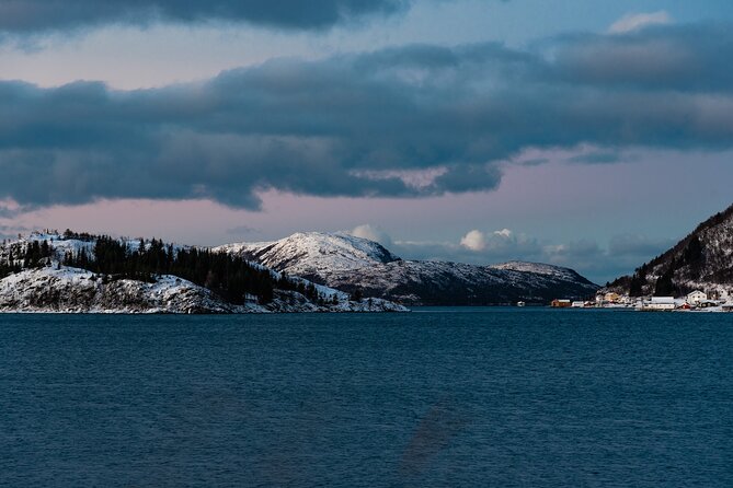 5 Fjords Tour by Minivan in 4 Hours - Who should book this 5 fjords minivan tour