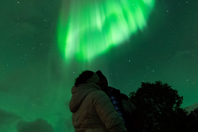 7 hours Tromsø Aurora Tour: Photos, snacks & warm drinks included - Why a Tromsø bus hunt for the Northern Lights makes sense