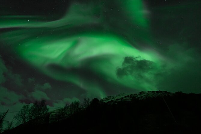 7 hours Tromsø Aurora Tour: Photos, snacks & warm drinks included - Meeting point and timing at Fr Nansens plass 1A