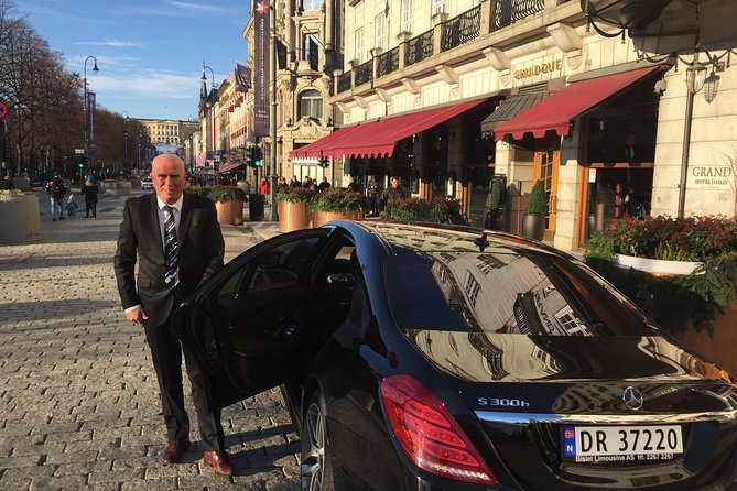 8 hours Full-Day Exclusive Oslo Tailormade Guided Limo Tour - Oslo’s Big Icons: Opera Roof, Palace, Parliament, and City Hall
