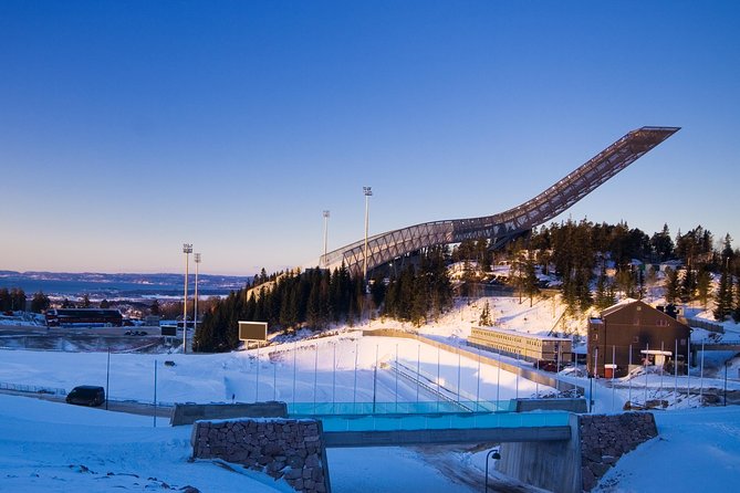 8 hours Full-Day Exclusive Oslo Tailormade Guided Limo Tour - The Munch Pass-By: Lambda Building and Timing Reality