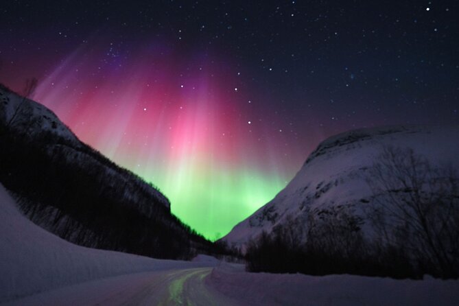 Adults Only Aurora Hunt with Wandering Owl - Stop 1 at Kvaløya: coastal gaps and a longer first session