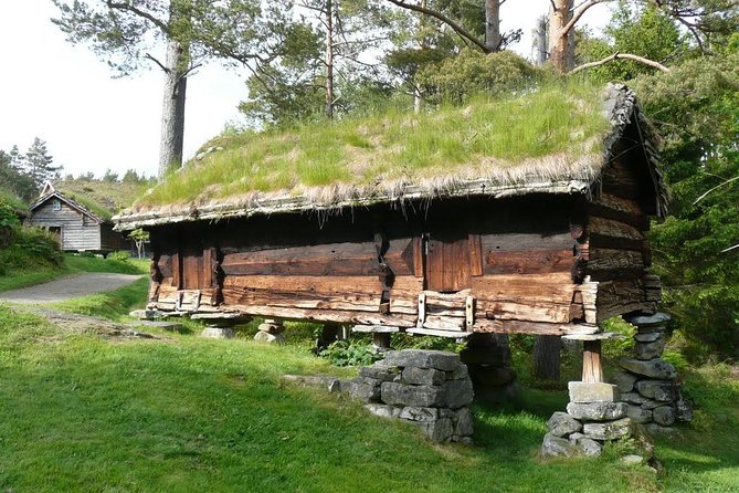 Alesund 3 hrs Private tour Medieval Village Sunnmore - Who this tour fits best, and who should consider alternatives