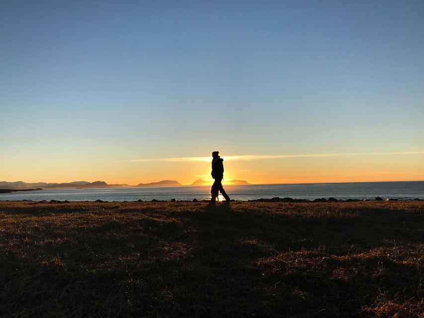 Ålesund: Ålesund and Surrounding Islands Audio Guide Tour - Should you book this Ålesund audio guide tour?