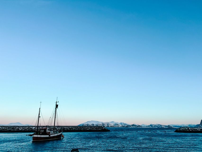 Ålesund: Ålesund and Surrounding Islands Audio Guide Tour - Getting to the bus and knowing what the ride is like