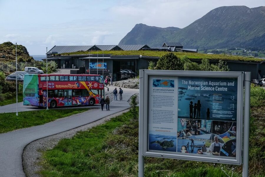 Alesund: City Sightseeing Hop-On Hop-Off Bus Tour - Aksla View Point, Fjellstua: the best place to get your bearings fast