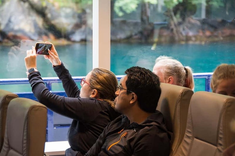 Ålesund: Geirangerfjord Scenic Cruise & Village Visit - Who this cruise suits best, and who should rethink it