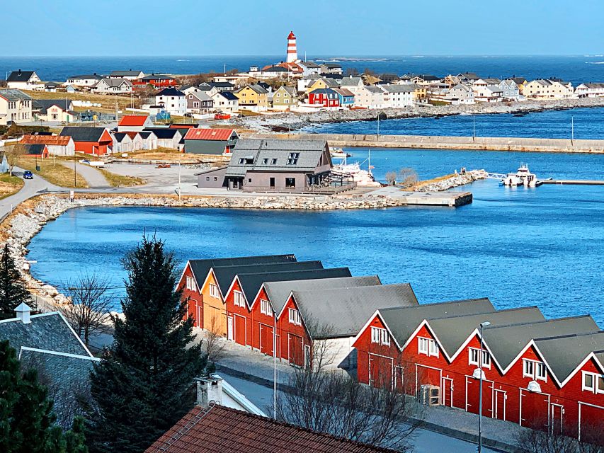 Alesund: Private Tour to the Viking Islands - Quick take on the Ålesund Viking island loop