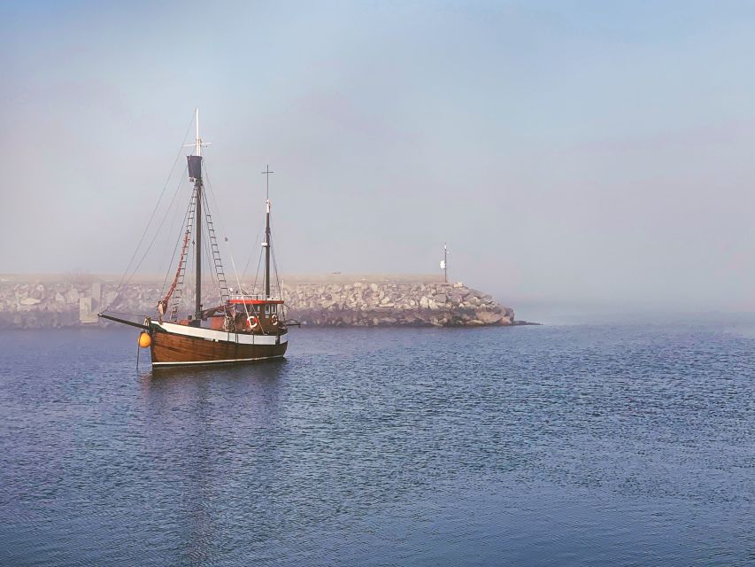 Alesund: Private Tour to the Viking Islands - What you get for $944 per group, and when it feels like a bargain