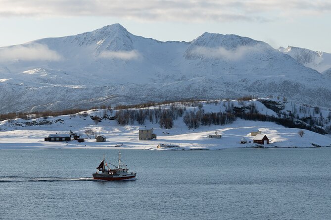 All-Inclusive Arctic Fjords and Sommarøy Scenic Tour - Kvaløya Island plus Sommarøy, a scenic day that stays efficient