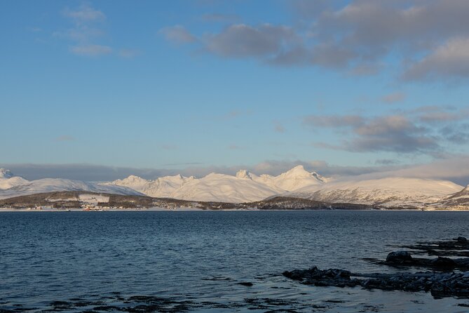 All-Inclusive Arctic Fjords and Sommarøy Scenic Tour - Photo stops on Kvaløya, plus the wildlife you might spot