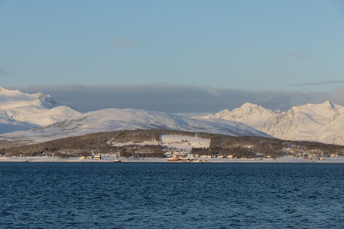 All-Inclusive Arctic Fjords and Sommarøy Scenic Tour - Weather reality: all-weather operation, but good weather is the goal