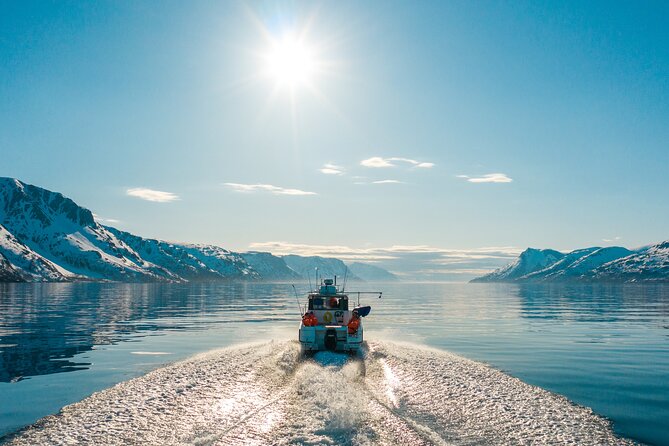 Alta: 2 Hours Guided Adventure Cruise in Alta Fjord - From Fiskerihavna to the Altafjord route