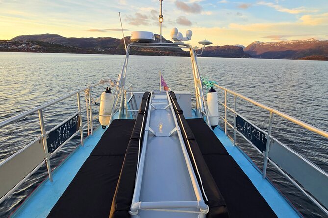 Alta: 2 Hours Guided Adventure Cruise in Alta Fjord - Safety first, with the kit you actually need